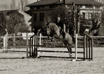 atout centres equestre les cypres