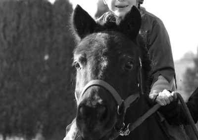 cours equitation les cypres