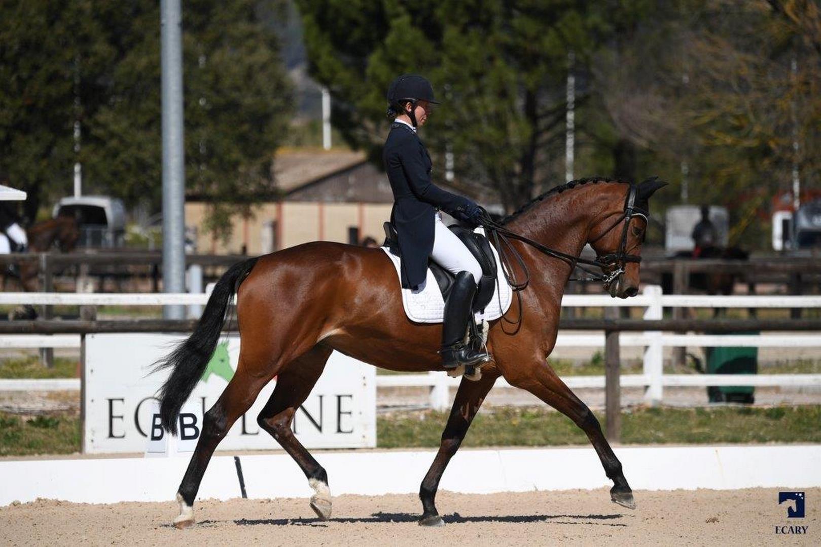 centre equestre draguignan (Copier)